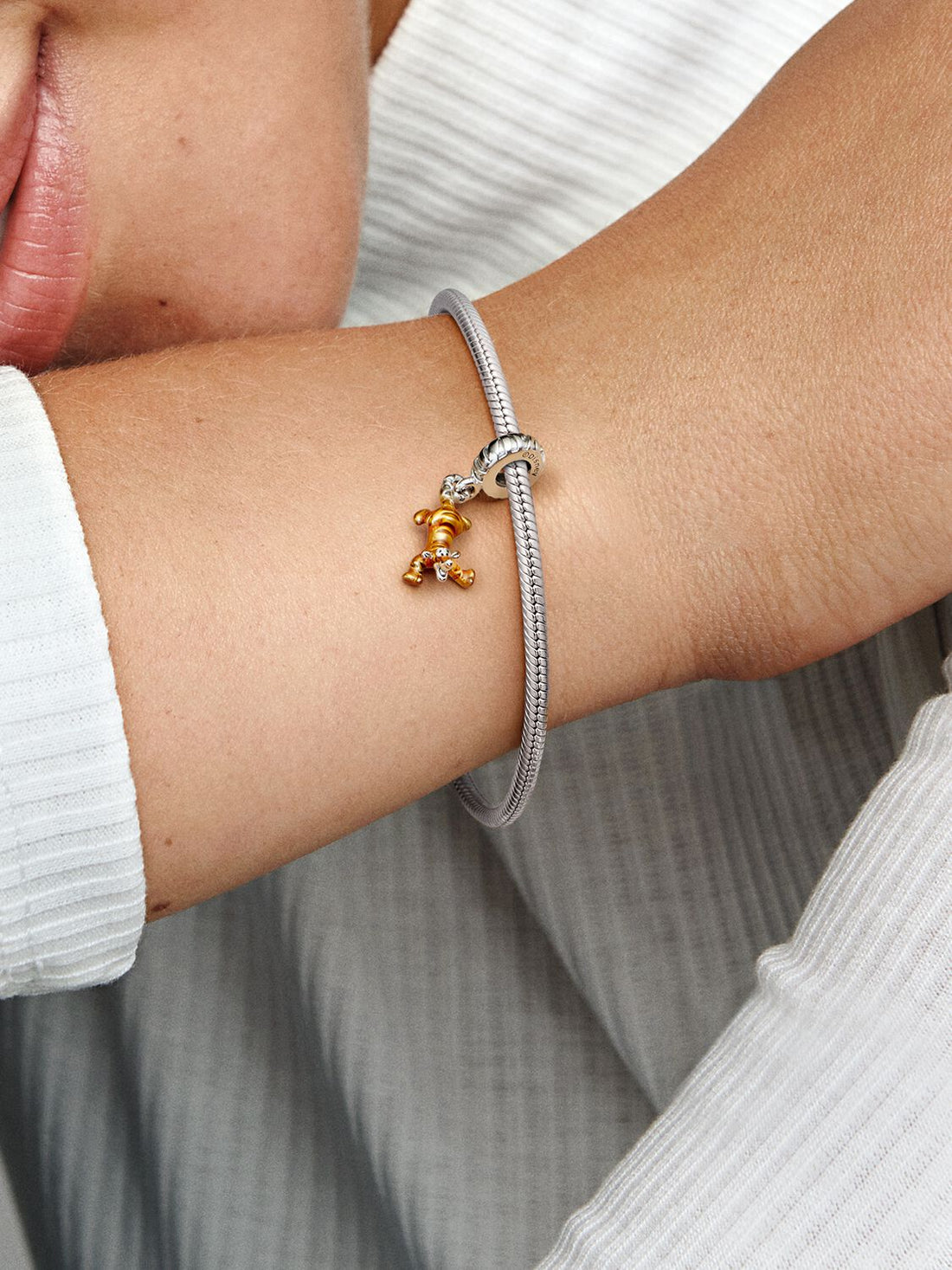 Disney Winnie Puuh Tiger Charm